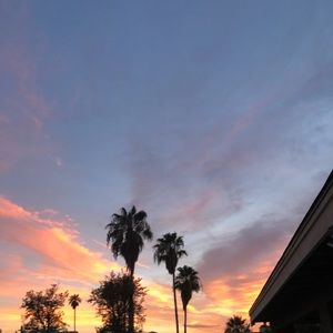 Meet your Posher, Angelyna